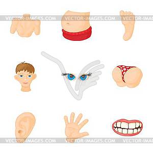 Human body icons set, cartoon style - vector EPS clipart