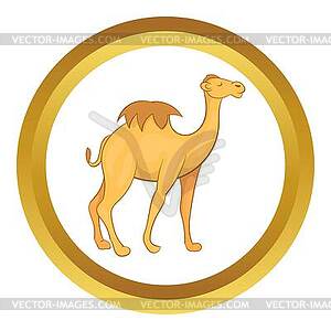 Camel icon - vector image