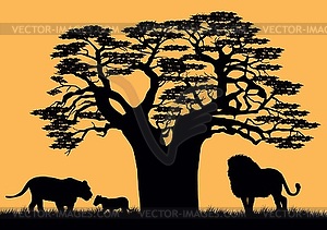 Lion and lioness near baobab - vector image