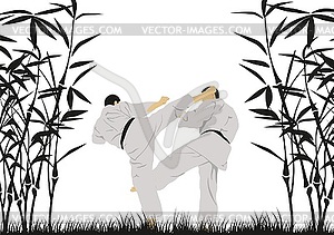 Man demonstrating karate - vector clipart