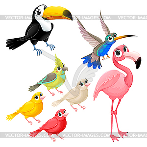 Group of funny tropical birds - vector image