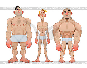 Three types of caricatural male anatomies - color vector clipart