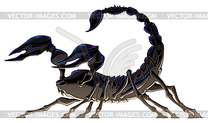 Черный скорпион - изображение в векторе
