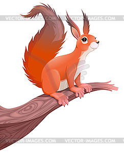 Funny squirrel on branch - royalty-free vector image