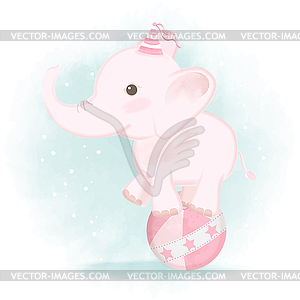 Cute baby elephant standing on ball cartoon carnival - vector clipart