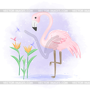 Flamingo with dragonfly and bird of paradise - vector clip art