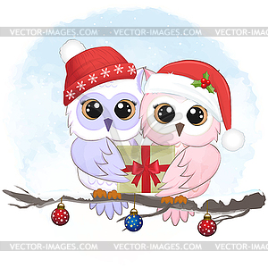 Cute couple owl and gift box, Christmas season  - vector clip art