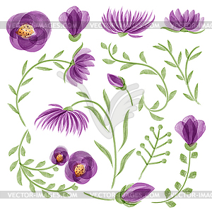 Watercolor floral set - vector clipart