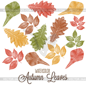 Set of watercolor colorful autumn leaves - vector clipart