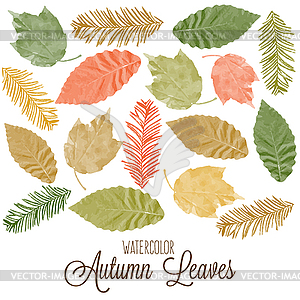 Set of watercolor colorful autumn leaves - vector image