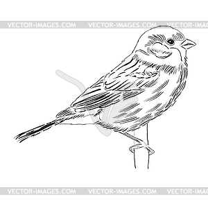 Outline bird - vector clip art