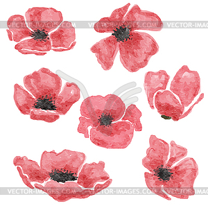 Watercolor poppy flowers set - vector image