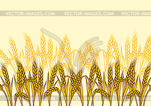 Background with wheat. Agricultural image with - vector clip art