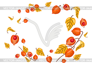 Background of fesalis sprigs with berries. autumn - vector image