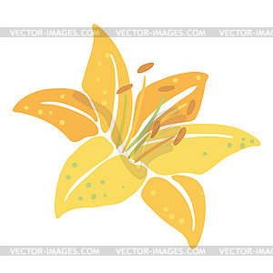 Lily flower. Beautiful decorative plant - vector clipart