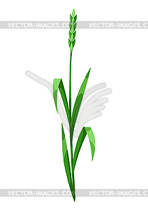 Трава и злаковые травы. Красивая декоративная пружина - изображение в векторе / векторный клипарт