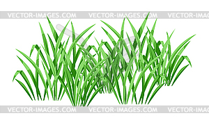 Background with green grass. Beautiful decorative - vector clipart