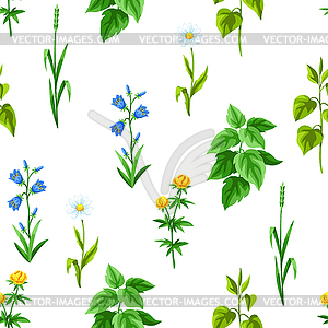 Seamless pattern with meadow flowers. Herbs and - vector image