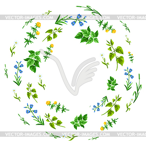 Frame with meadow flowers. Herbs and cereal grass. - color vector clipart