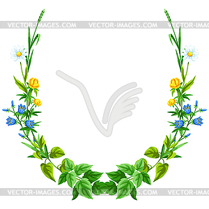 Frame with meadow flowers. Herbs and cereal grass. - color vector clipart