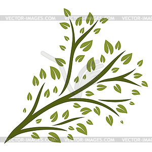 Sprig with green leaves. Decorative plant - vector clipart