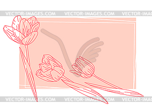 Фон с цветами тюльпана. Красивый - клипарт в векторе