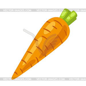 Carrot. Image for gastronomy and agricultural - vector image