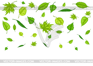 Background with spring leaves. Beautiful - vector clipart