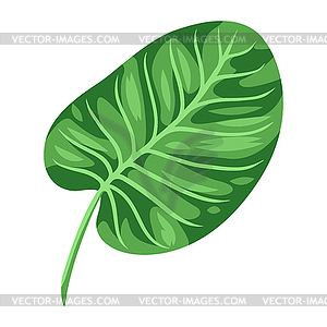 Стилизованный пальмовый лист. тропическая листва и растения - клипарт в формате EPS