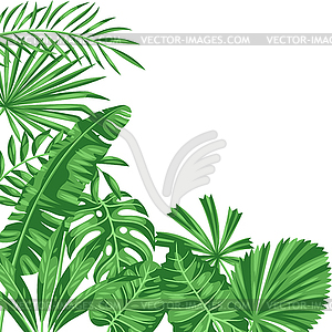 Background with stylized palm leaves. tropical - stock vector clipart