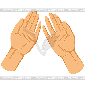 Human palms. Gesture of asking or giving - vector image