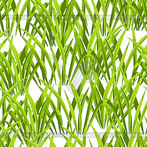 Бесшовный узор с зеленой травой. Красивый - векторный клипарт / векторное изображение
