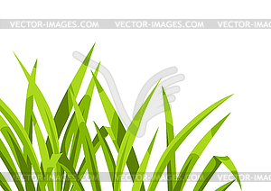 Background with green grass. Beautiful decorative - vector EPS clipart