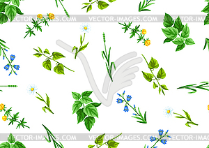 Seamless pattern with meadow flowers. Herbs and - stock vector clipart