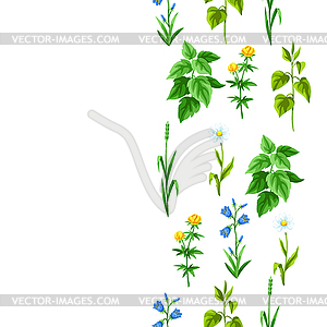 Seamless pattern with meadow flowers. Herbs and - vector clip art