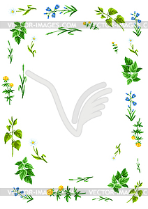 Frame with meadow flowers. Herbs and cereal grass. - vector clipart