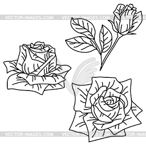 Set of rose flowers. Beautiful decorative plants - vector EPS clipart