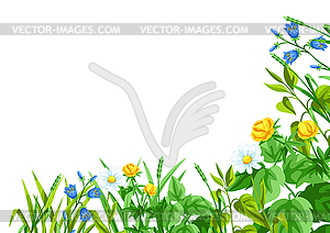 Background with meadow flowers. Herbs and cereal - vector image