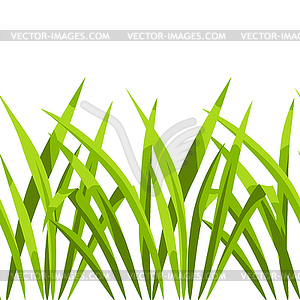 Seamless pattern with green grass. Beautiful - vector clipart