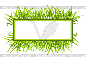 Frame with green grass. Beautiful decorative - vector image
