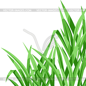 Background with green grass. Beautiful decorative - vector clip art