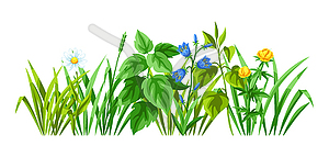 Background with meadow flowers. Herbs and cereal - vector image