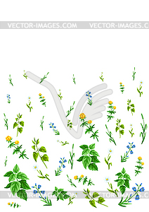 Background with meadow flowers. Herbs and cereal - vector clipart