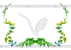 Frame with meadow flowers. Herbs and cereal grass. - vector image