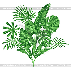 Фон со стилизованными пальмовыми листьями. тропический - клипарт в формате EPS
