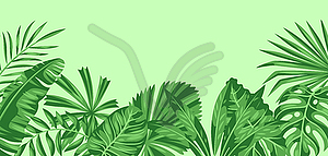 Фон со стилизованными пальмовыми листьями. тропический - векторный клипарт / векторное изображение