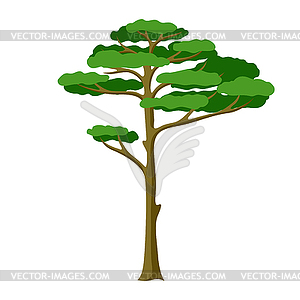 Spruce tree. Forest or park landscape element. - stock vector clipart