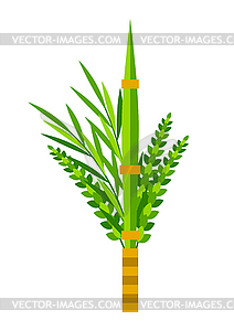 Happy Sukkot symbols. Four species etrog, lulav, - vector image