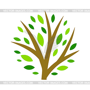 Stylized tree with leaves. or concept for emblem an - royalty-free vector clipart