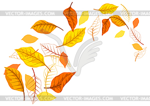 Фон с осенними листьями. с разнообразной листвой - векторный рисунок
